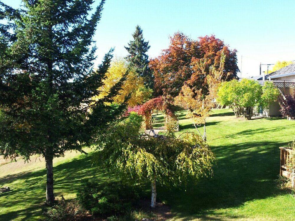 Drummond Lodge Williams Lake Extérieur photo
